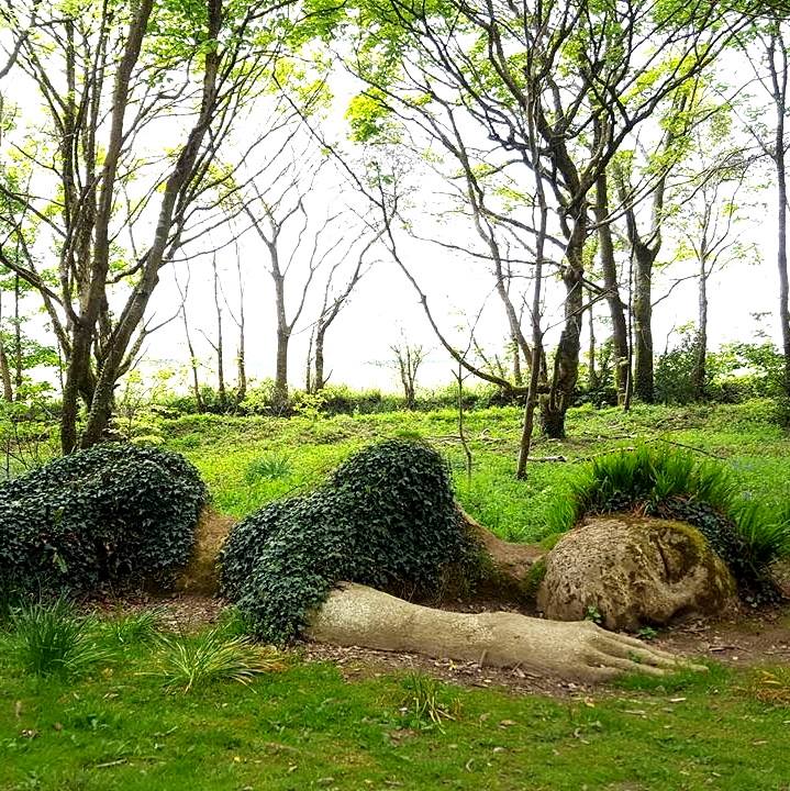 lost gardens of heligan cornwall grossbritannien