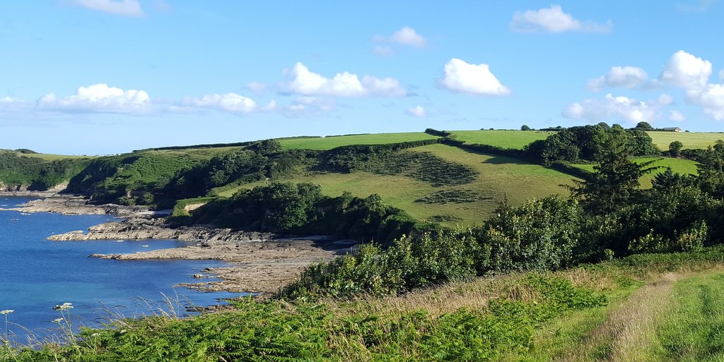 Wandern in Cornwall Rosemullion Head